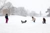 First Lady Michelle Obama and daughters Sasha and Malia, along with family dog, Bo, play in the snow on the South Lawn of the White House on December 19, 2009.