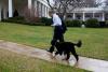 President Barack Obama walks toward the Oval Office with Bo, the Obama family dog, after returning from a Christmas shopping trip, December 21, 2011. 
