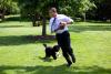 President Barack Obama pets the family dog, Bo, during a brief break from meetings on the South Lawn of the White House, May 12, 2009.