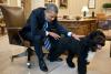 President Barack Obama pets Bo, the Obama family dog, in the Oval Office, June 21, 2012. 