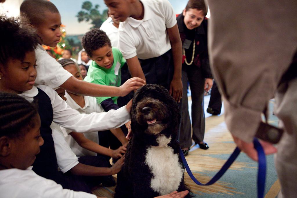 Bo, the Obama family dog, is greeted by several of the President’s Active Lifestyle Award achievers in the Diplomatic Reception Room of the White House, November 29, 2010.