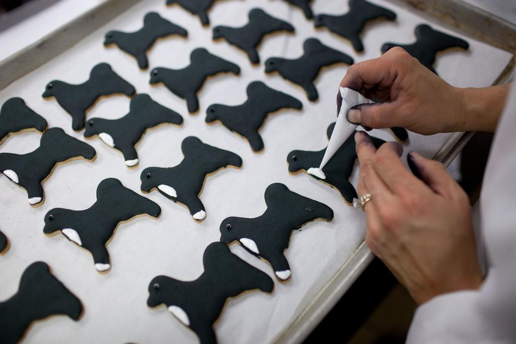White House pastry chefs decorate cookies shaped like Bo, the Obama family dog, for holiday receptions at the White House, December 8, 2010.