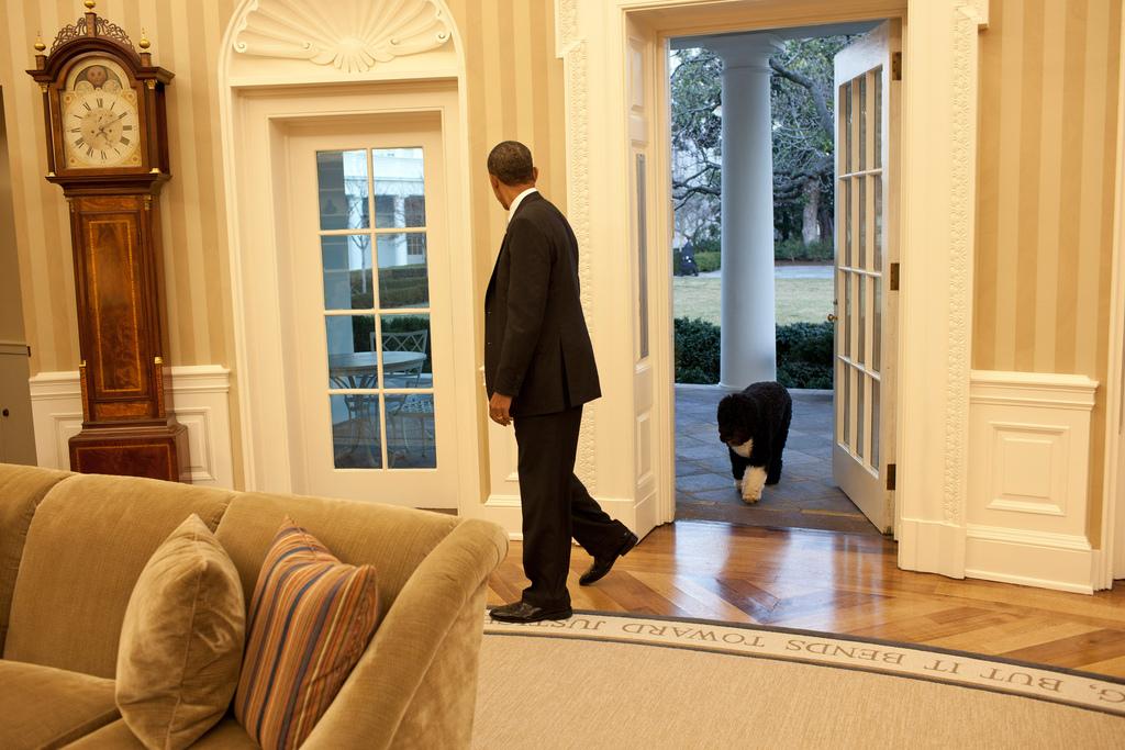 President Barack Obama looks back as Bo, the Obama family dog, follows him into the Oval Office, January 27, 2012. 