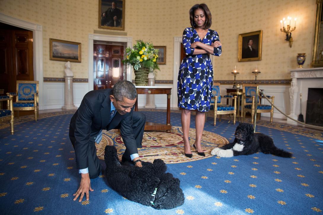 President Barack Obama and First Lady Michelle Obama, joined by family pets Sunny and Bo, wait to greet visitors in the Blue Room during a White House tour, November 5, 2013. 