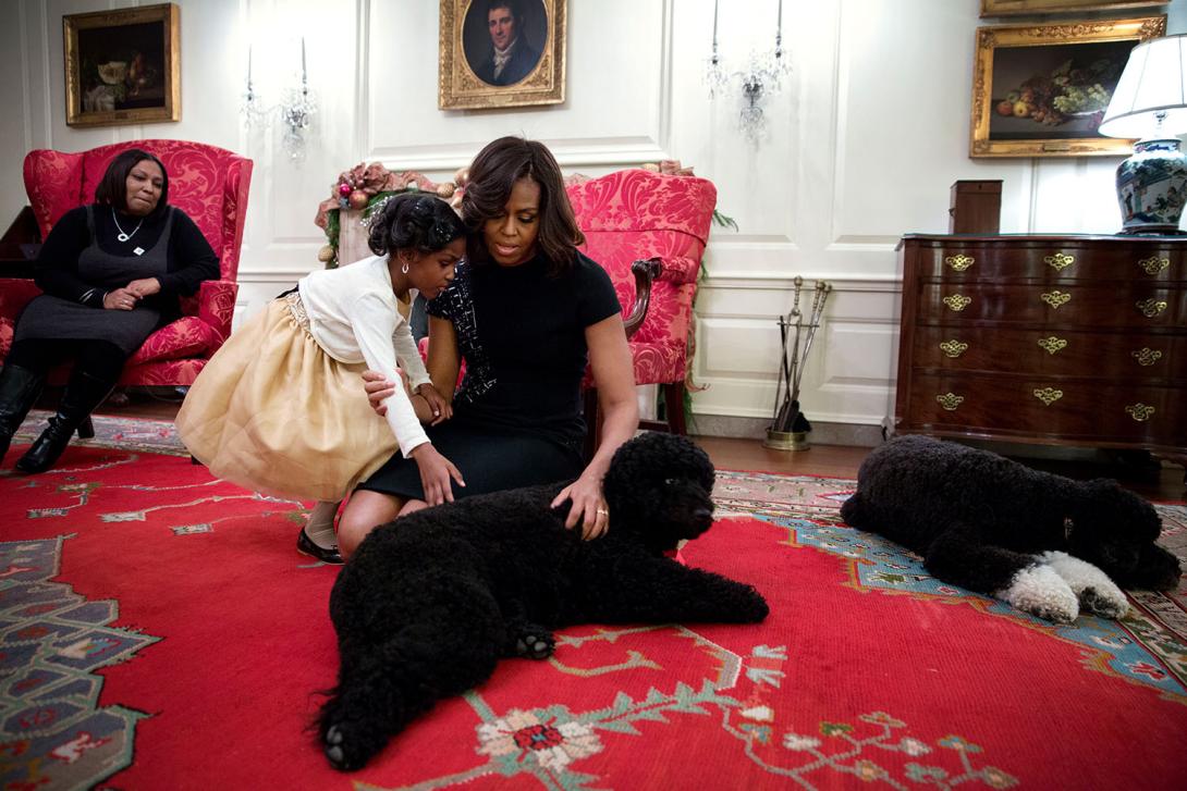 First Lady Michelle Obama introduces Jayla Raymond, 8, from New Orleans, Louisiana, to Obama family pets Sunny and Bo in the Map Room of the White House, December 4, 2014.