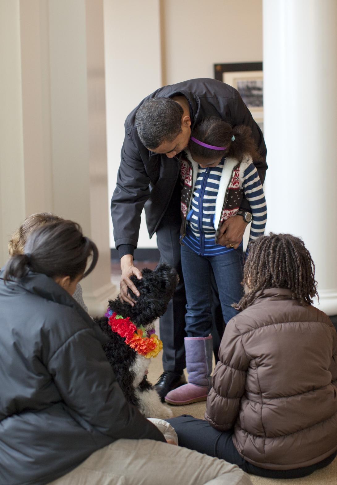 The Obamas welcome Bo, a six-month old Portuguese water dog and a gift from Senator and Mrs. Kennedy to Sasha and Malia, recently at the White House.