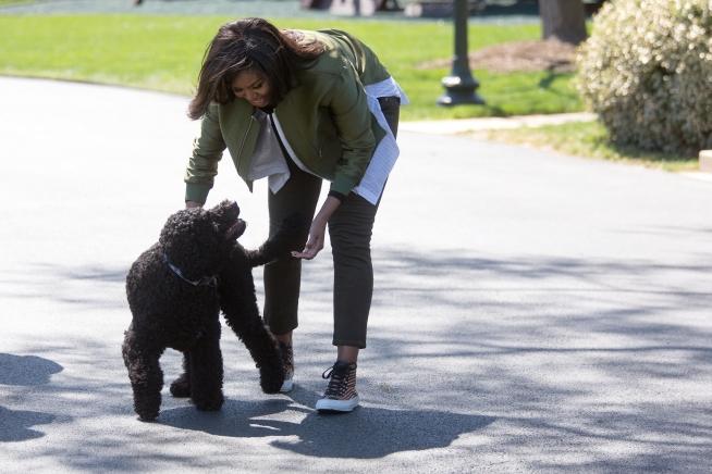First Lady Michelle Obama walks back to the White House with Obama family pet, Sunny, after joining students for the "Let's Move!" spring garden planting in the White House Kitchen Garden, April 5, 2016.